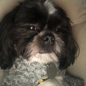 Meet your Posher, Leanna